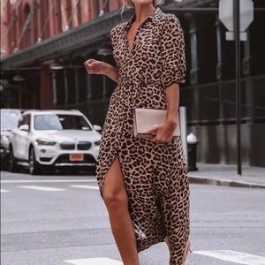 Zara Leopard Print Maxi Dress